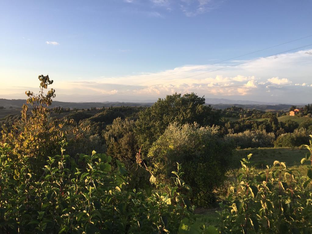 Da Tilli Alla Fornace - Agriturismo Montaione Exteriör bild